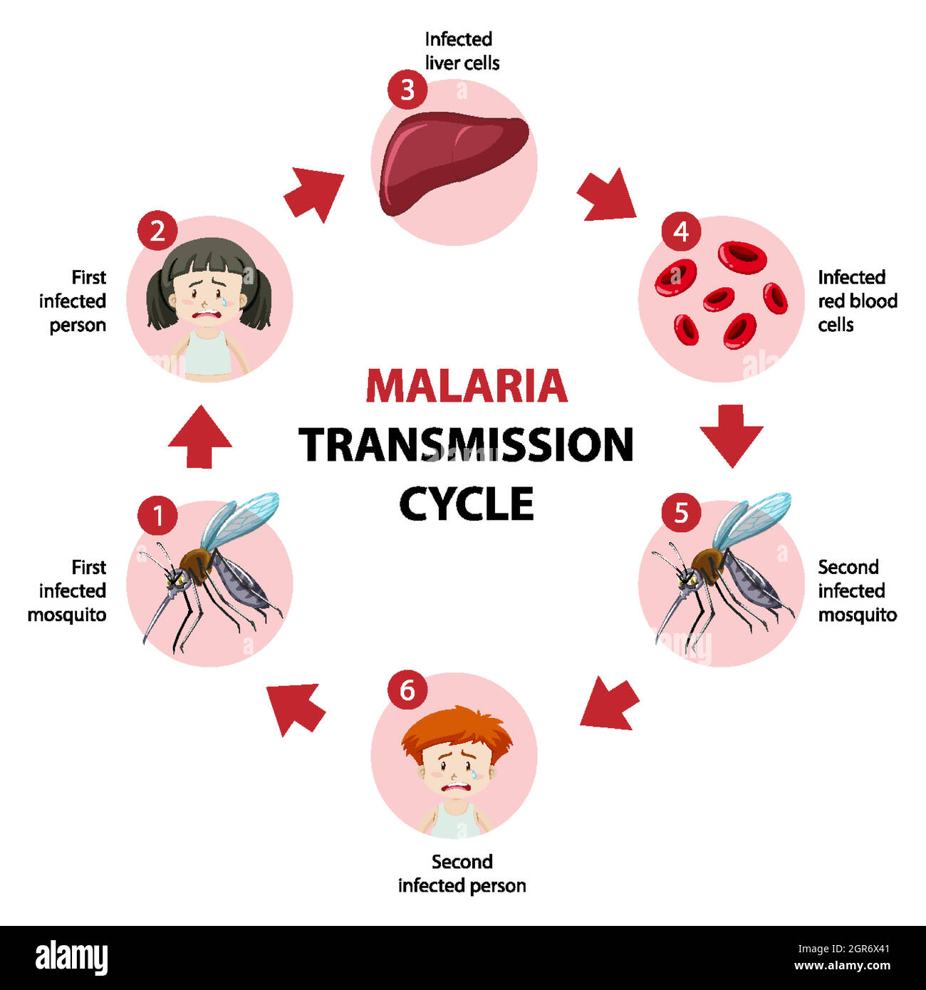 La malaria