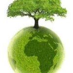 reboisement au bukina faso : un défi majeur