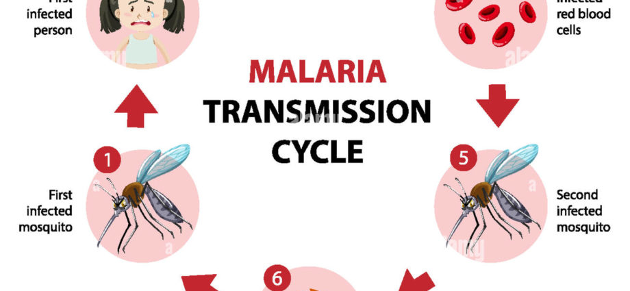 La malaria