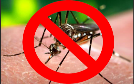 Pandémie de dengue au Burkina Faso