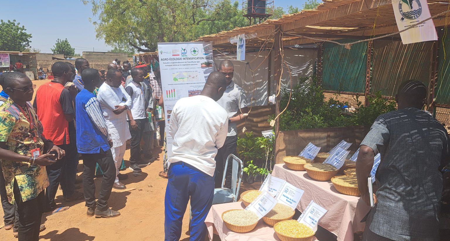 Foire Agroécologique à Koupéla : Une vitrine pour l’agriculture durable