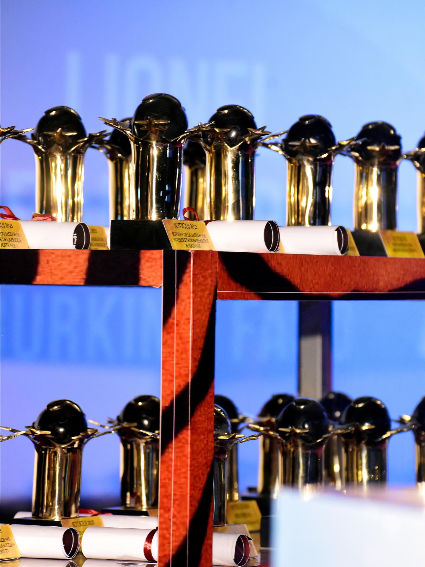 Sotigui Awards 2025 : une dixième édition marquée par l’excellence africaine
